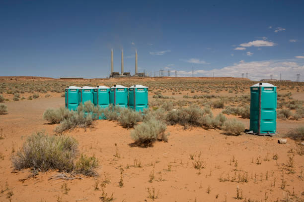 Best Firewood Processing and Delivery  in Questa, NM