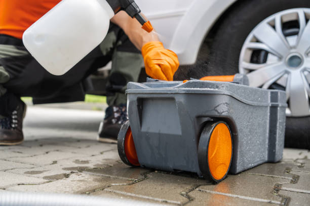 Best Stump Grinding and Removal  in Questa, NM